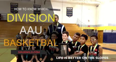 Understanding AAU Basketball Divisions: A Guide