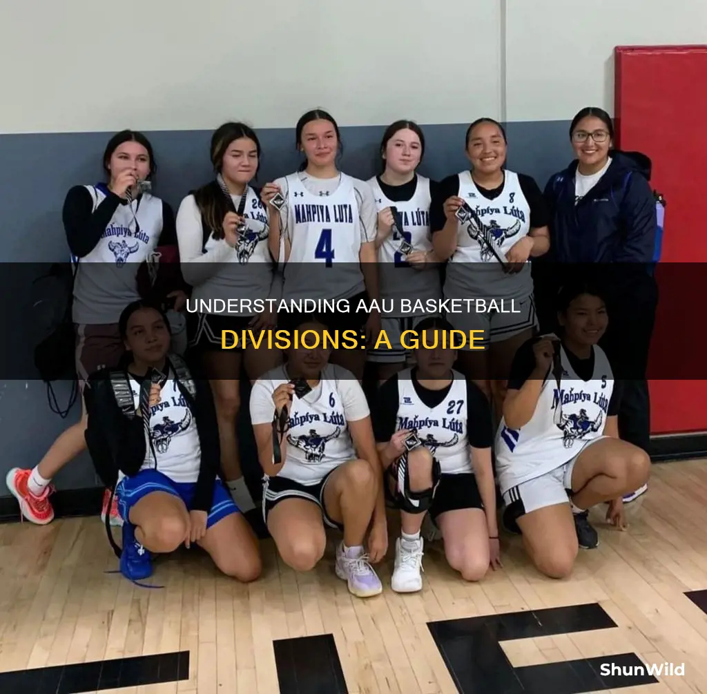 how to know which division aau basketball
