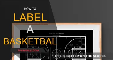 The Ultimate Guide to Labeling a Basketball