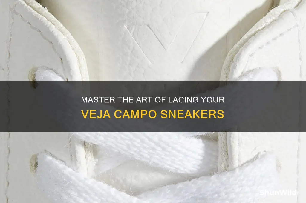 how to lace veja campo