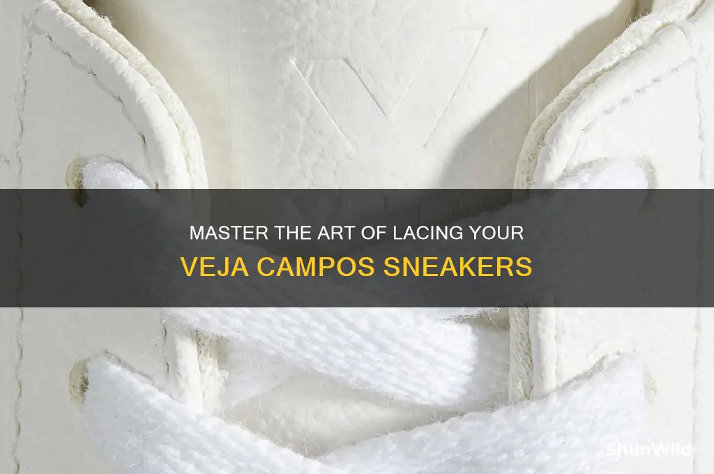 how to lace veja campos