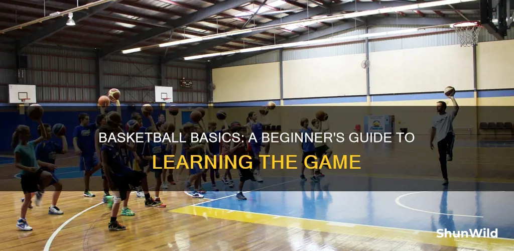 how to learn about basketball