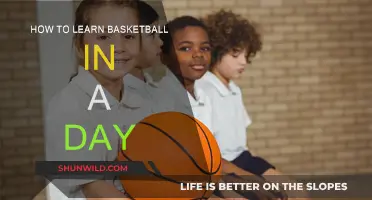 Quickly Learning Basketball: A One-Day Guide