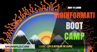 Master Bioinformatics Fast: Your Ultimate Boot Camp Learning Guide