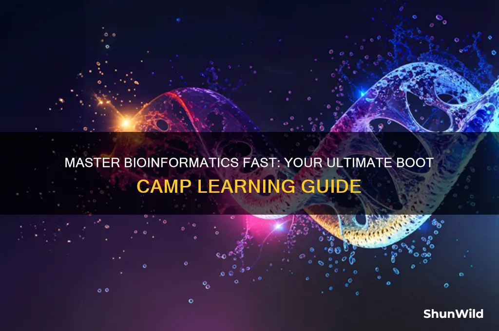 how to learn bioinformatics boot camp