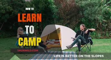 Master Camping Basics: Essential Tips for Beginners to Start Outdoors