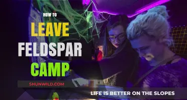 Escape Feldspar Camp: A Step-by-Step Guide to Your Departure