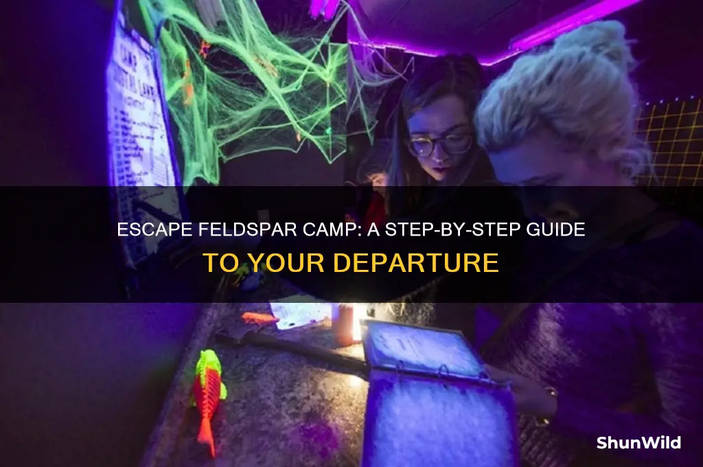 how to leave feldspar camp