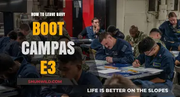 Earning E-3 Rank: Strategies to Advance in Navy Boot Camp