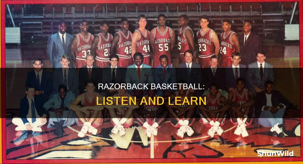 how to listen to razorback basketball