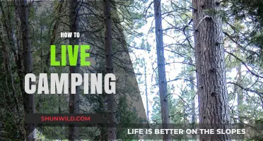 Master the Great Outdoors: Essential Tips for Living the Camping Life