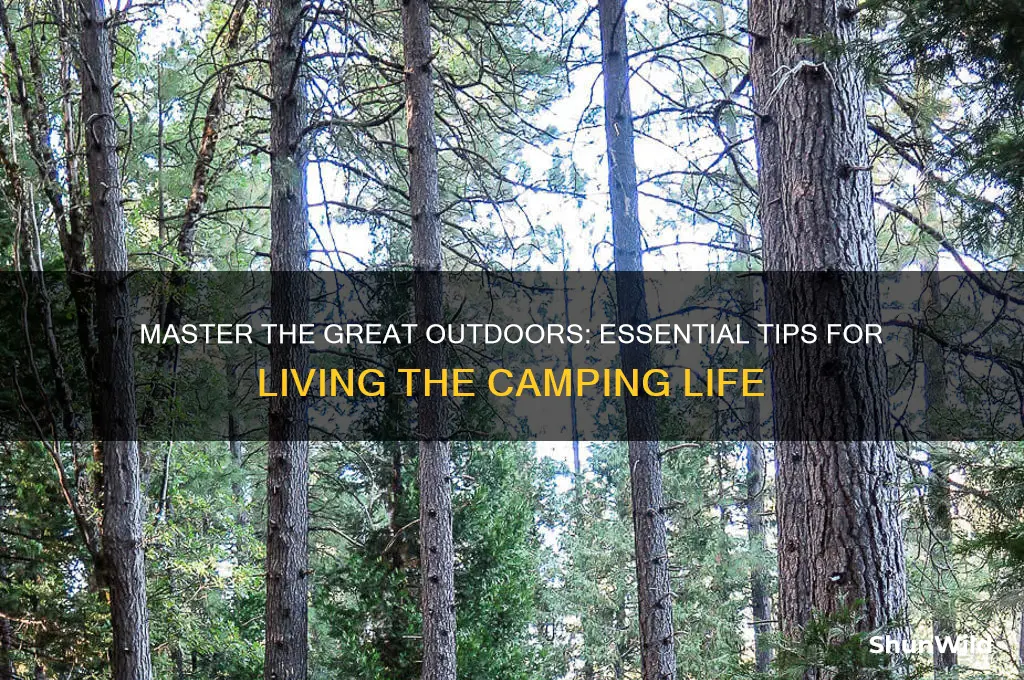 how to live camping