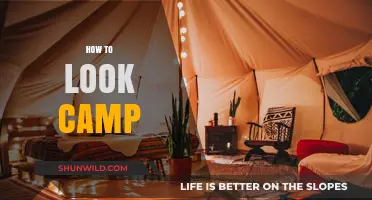 Mastering Camp Style: Bold Tips to Elevate Your Glamorous Look