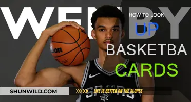 Basketball Cards: A Beginner's Guide to Collecting