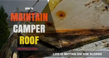 Essential Tips for Maintaining and Protecting Your Camper Roof