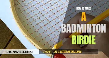 The Science Behind Badminton Birdies: A DIY Guide