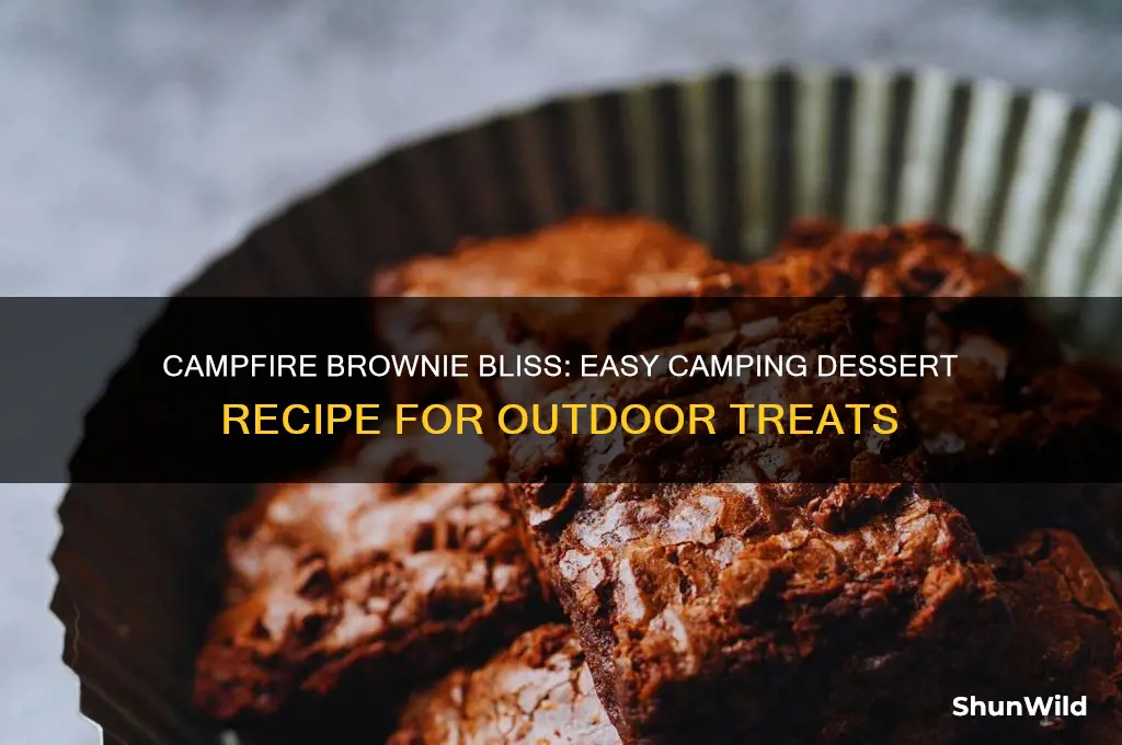 how to make brownies camping
