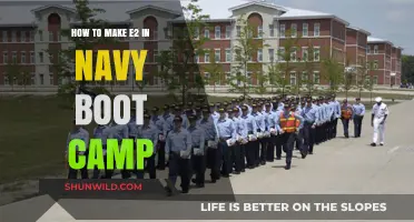 Mastering E2 Rank: Navy Boot Camp Strategies for Success