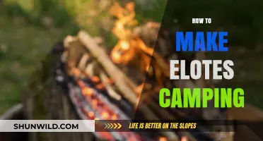 Campfire Elotes: Easy Mexican Street Corn Recipe for Camping Trips