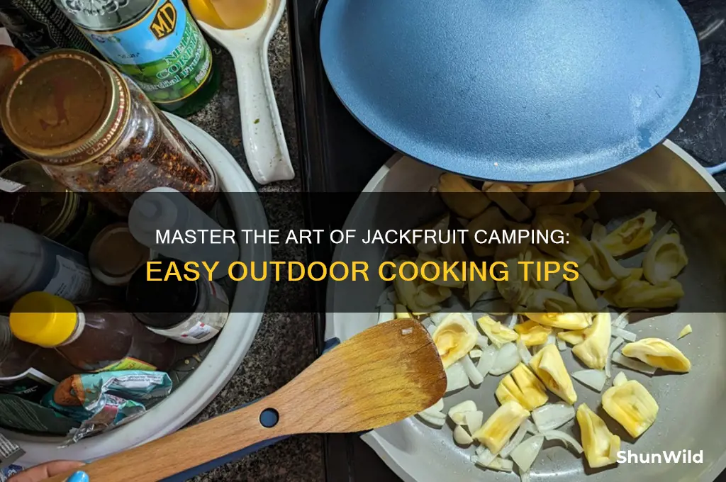 how to make jackfruit camping