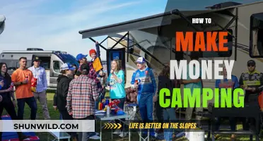 Earn Cash Under the Stars: Profitable Camping Strategies Revealed