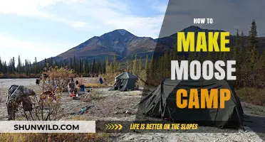 Ultimate Guide to Building a Cozy and Safe Moose Hunting Camp
