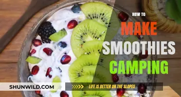 Camping Smoothie Guide: Easy, Refreshing Blends for Outdoor Adventures