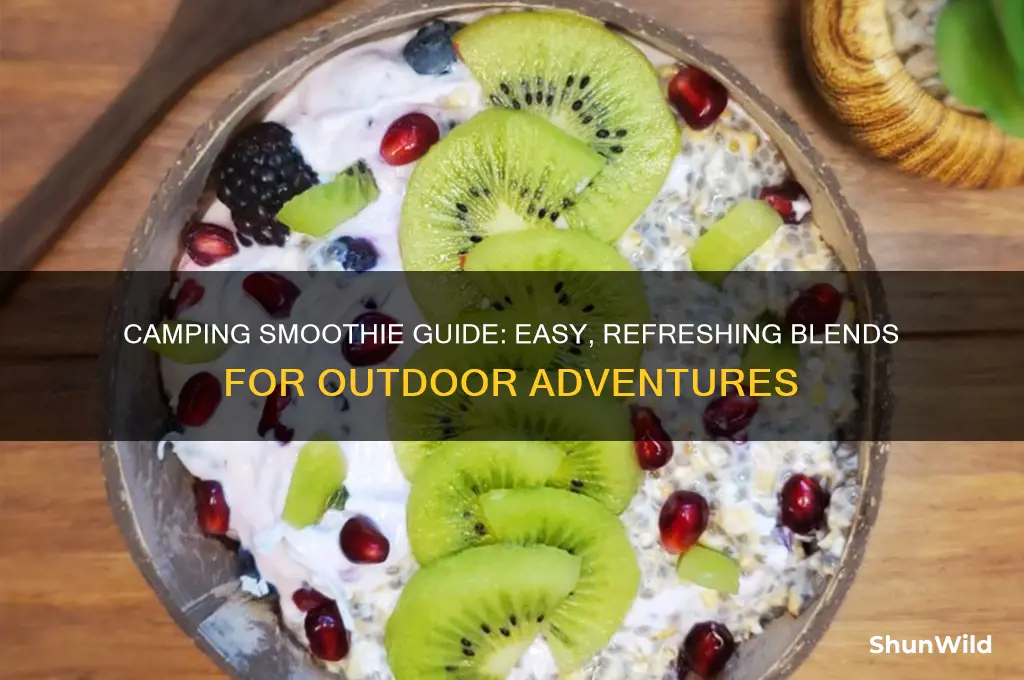 how to make smoothies camping