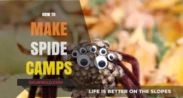 Crafting Spider Camps: A Step-by-Step Guide for Enthusiasts