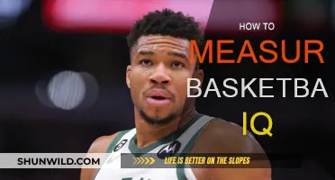 Basketball IQ: Measuring the Unmeasurable
