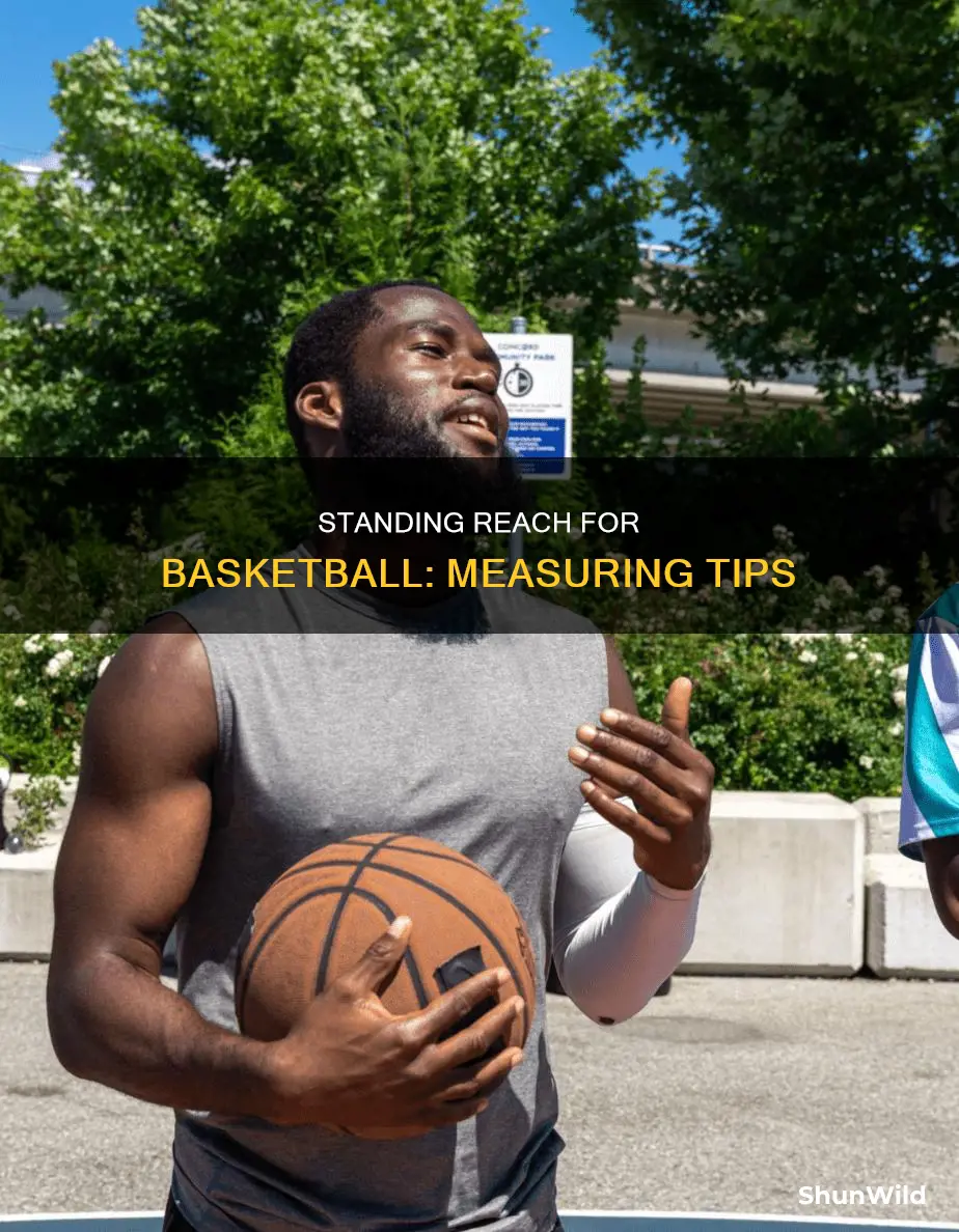 how to measure standing reach for basketball