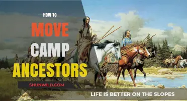 Relocating Camp Ancestors: A Step-by-Step Guide for Safe Transition