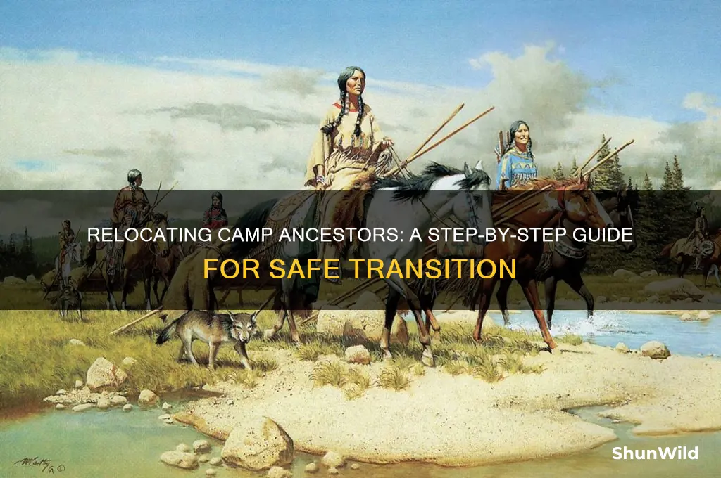how to move camp ancestors