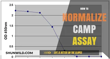 Mastering Camp Assay Normalization: Essential Steps for Accurate Results