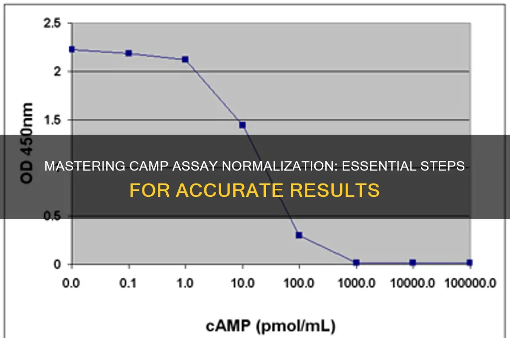 how to normalize camp assay