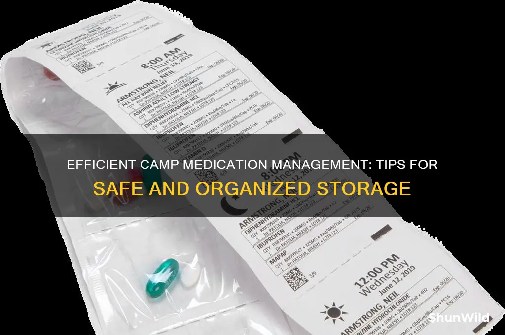 how to organize camp medications