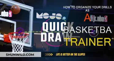 Drill Organization: A Trainer's Guide to Basketball Success