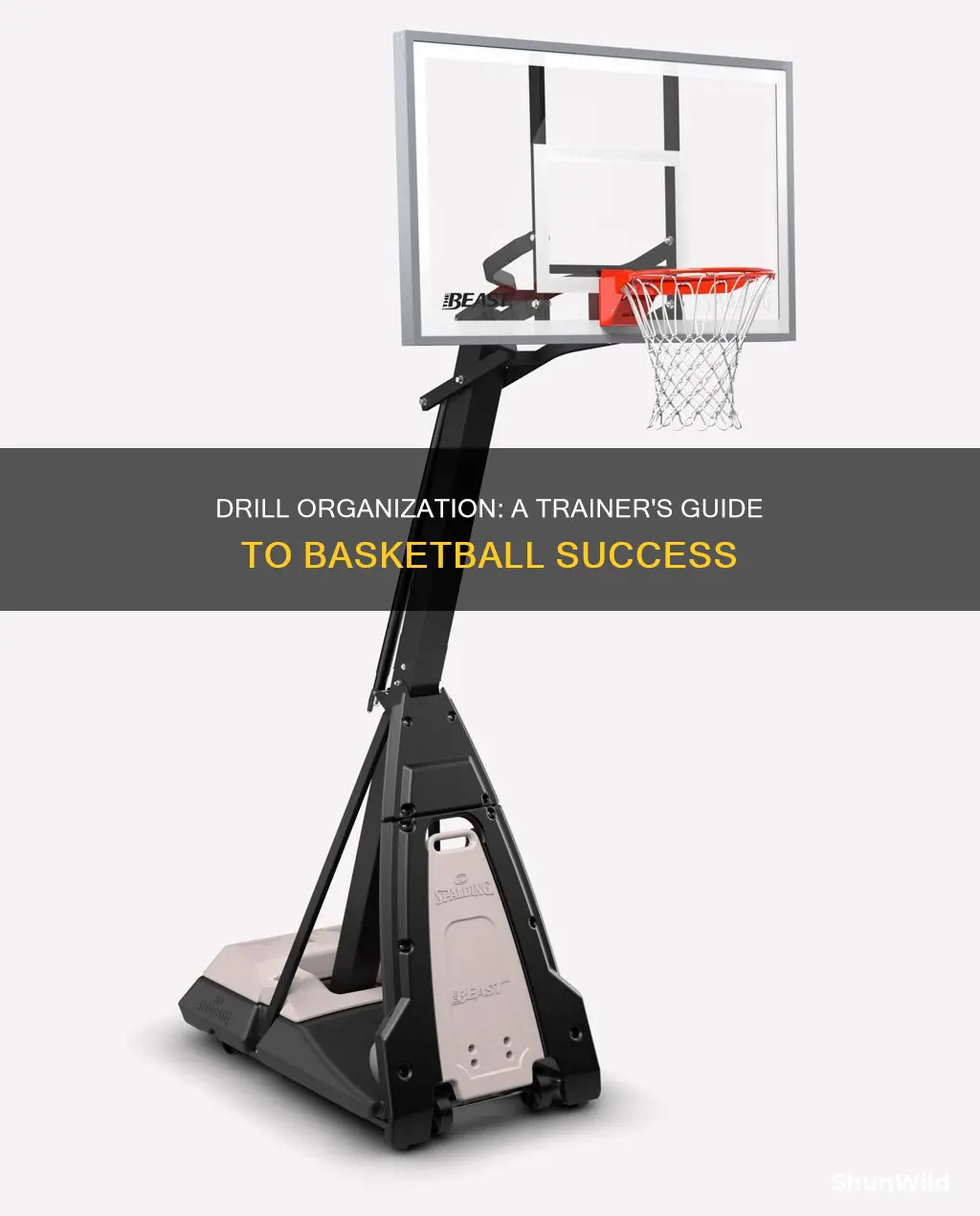 how to organize your drills as a basketball trainer