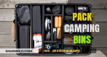 Efficient Camping Bin Packing: Tips for Organized Outdoor Adventures