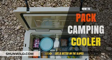 Mastering the Art of Packing Your Camping Cooler Efficiently