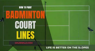 Badminton Court Lines: Painting Like a Pro