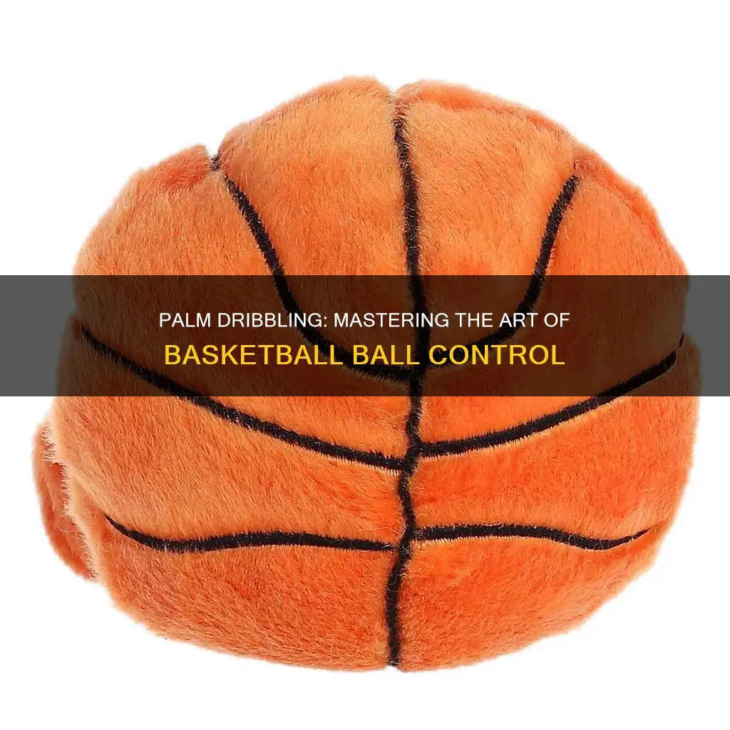 how to palm a basketball off the dribble