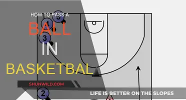 Passing Techniques: Basketball Basics