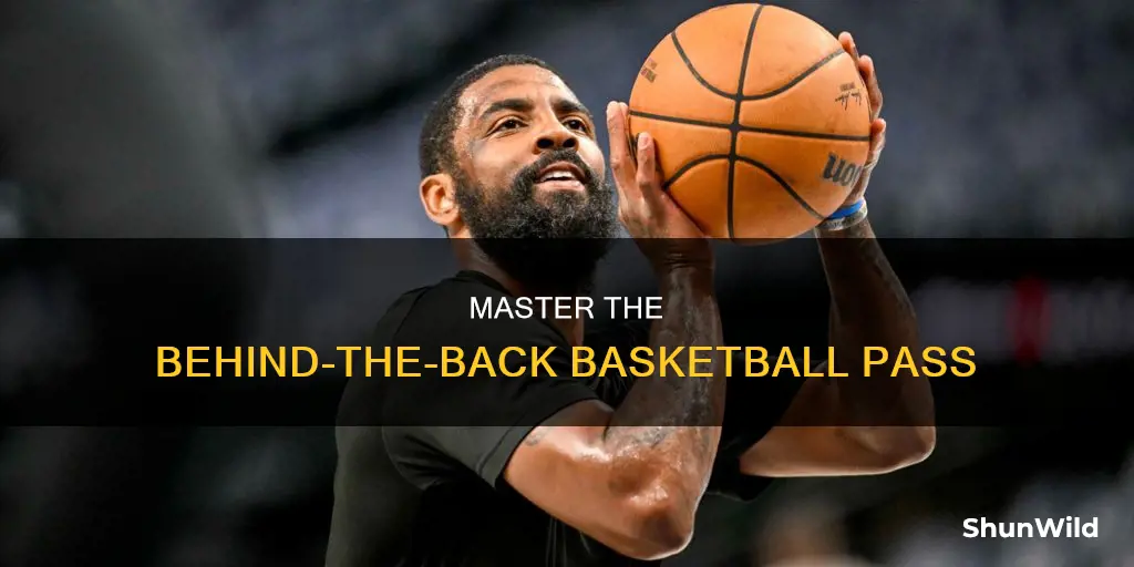 how to pass a basketball behind your back