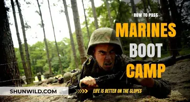 Mastering Marines Boot Camp: Essential Tips for Success and Survival