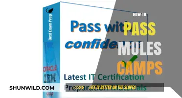 Mastering MuleSoft Certification: Proven Strategies to Pass Mule Camps