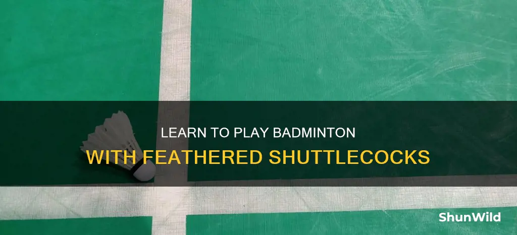 how to pay feather badminton