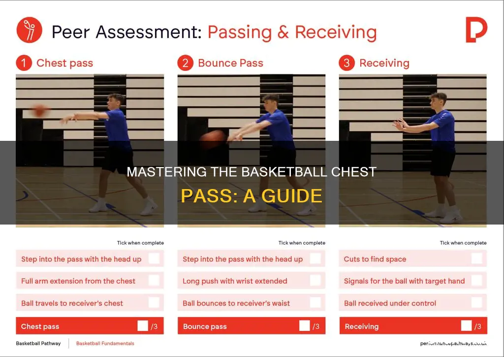 how to perform a chest pass in basketball