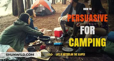 Master the Art of Persuasion: Convince Anyone to Go Camping