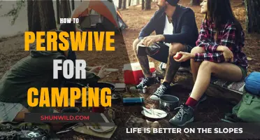 Master the Art of Persuasion: Convince Anyone to Join Your Camping Adventure